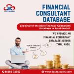 Financial Consultant Database